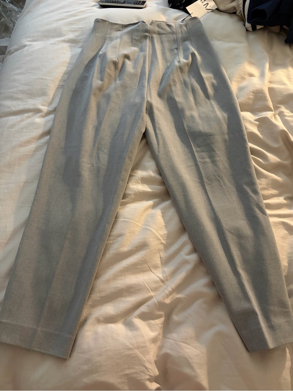 Zara NWT Light Gray Pleated Dress Pants